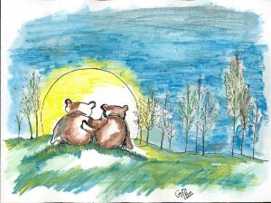 Oursons : cliquez pour agrandir